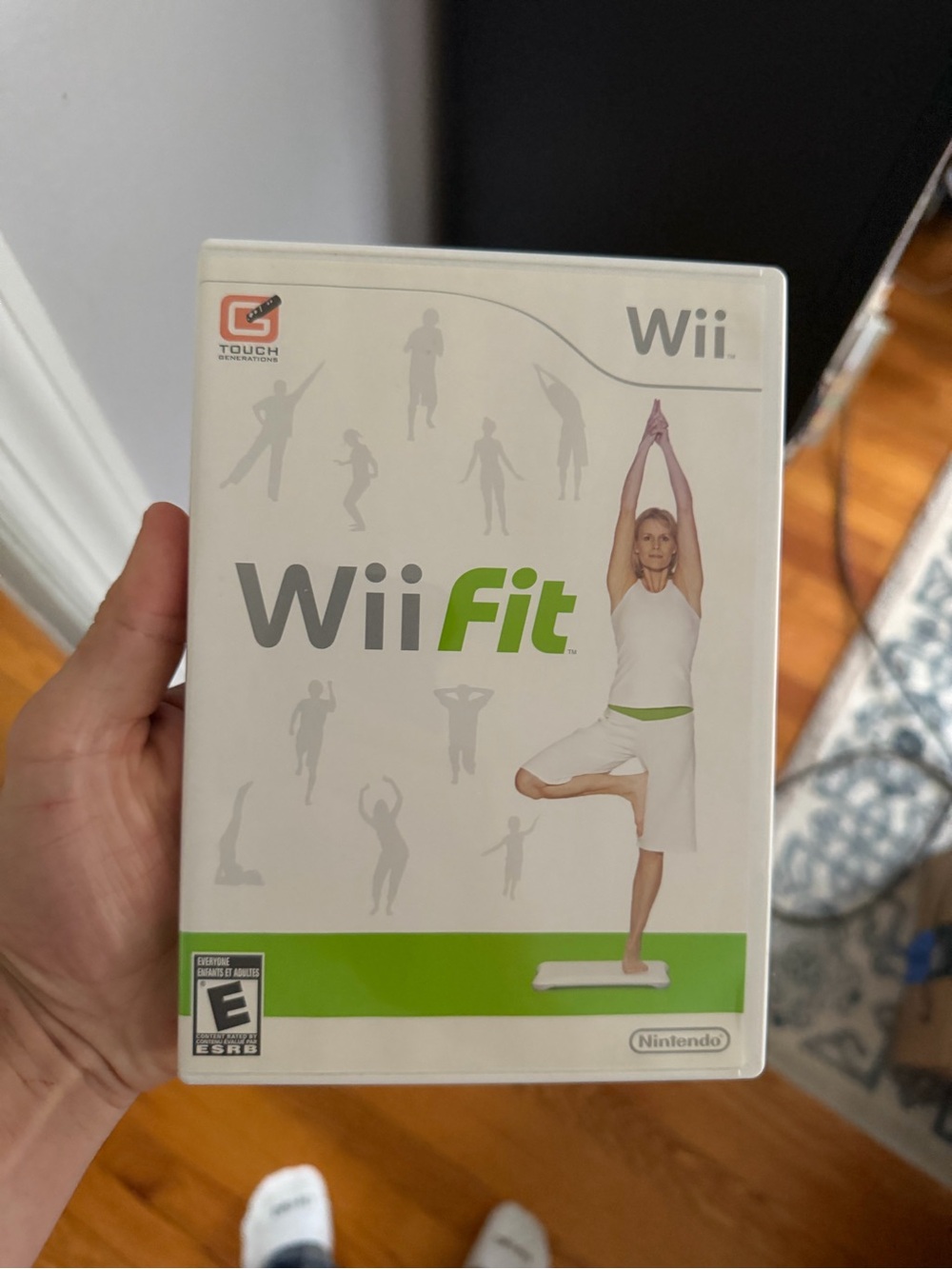 Nintendo Wii Fit Game